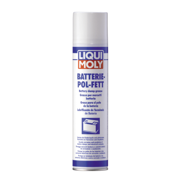 Liqui Moly Battery Clamp Grease Spray 300ml from autopartsstore.lk